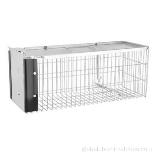 China Metal Humane Live Bait Vermin Rodent Cage Supplier